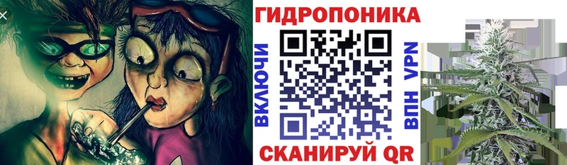 Бошки Шишки Армянск