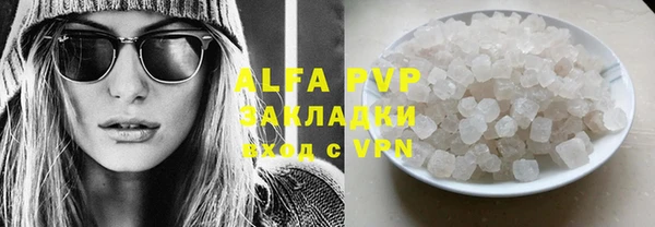 твердый Аркадак