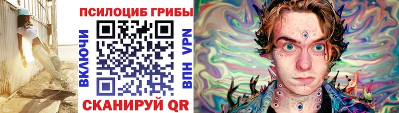 цена   Армянск  кракен рабочий сайт  Псилоцибиновые грибы Magic Shrooms 